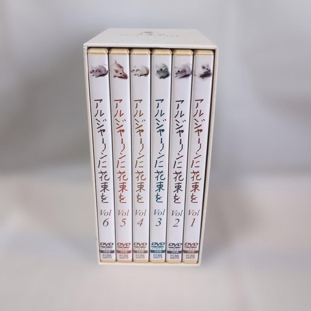 アルジャーノンに花束を 2002 DVD 全6巻 ユースケサンタマリア