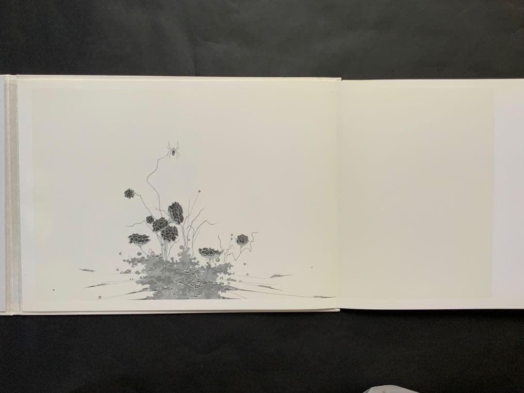 『HIROE SAEKI WORKS』画集　佐伯洋江　ケント紙にシャープP　レア
