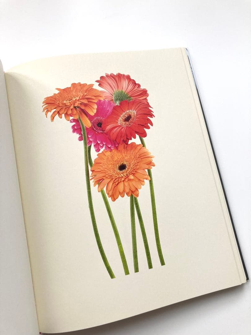 藤間謙二「The Most Beautiful Flowers」花の図鑑写真集