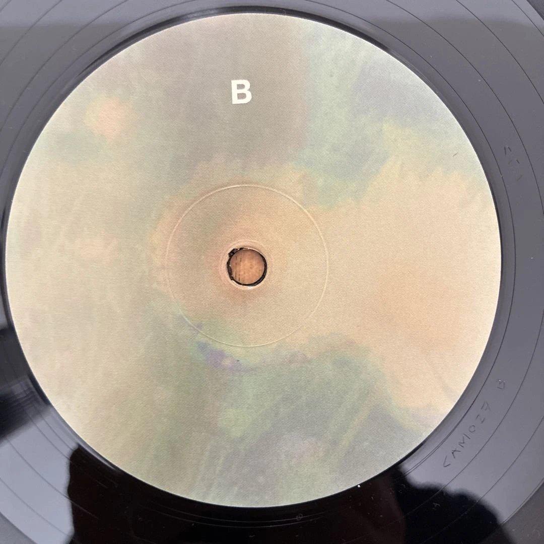 ラブワンダーランド 名盤 レコード
