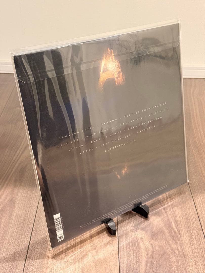 BIRDY BEAUTIFUL LIES レコード(新品、未開封)
