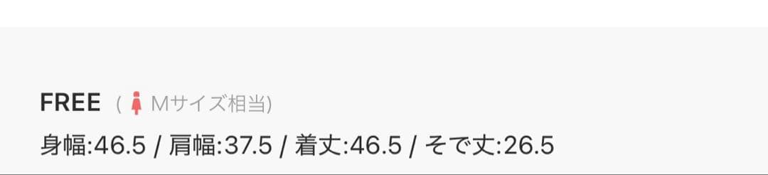 未使用^_^BY★メッシュポロニット