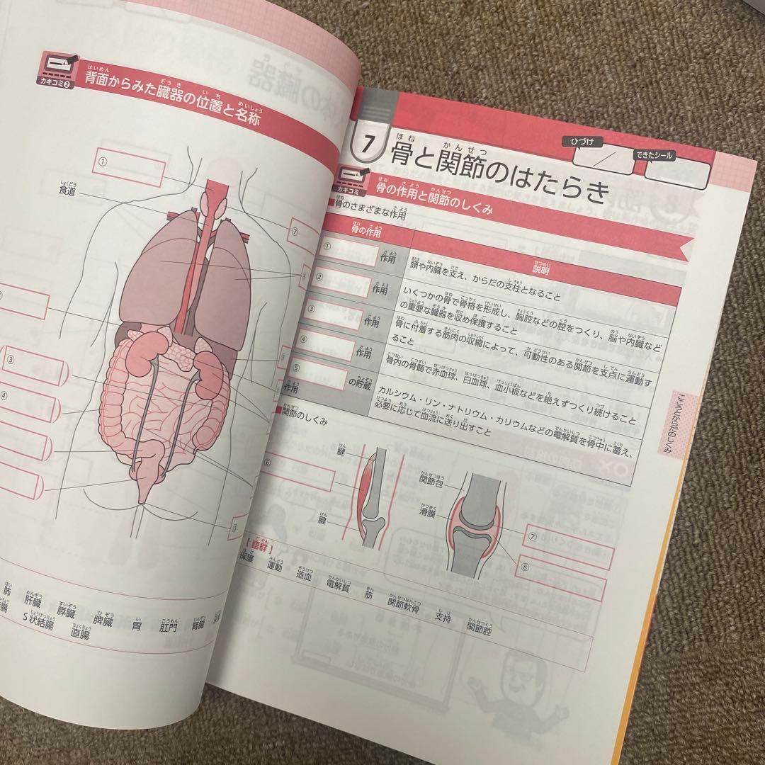 介護福祉士国家試験 合格オールインワンテキスト 2025版