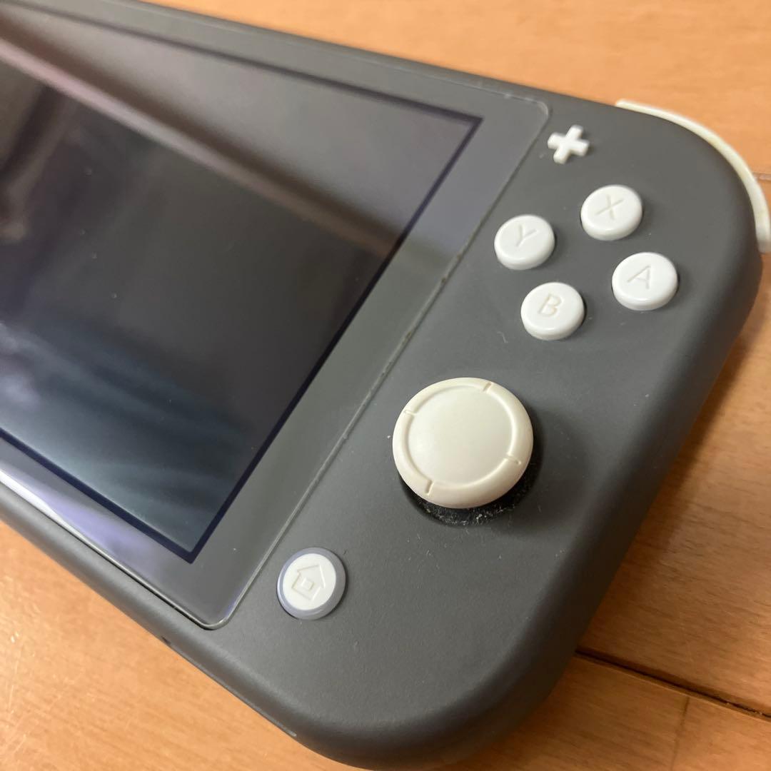 Nintendo Switch Lite グレイ/液晶画面フィルム＆充電器付き