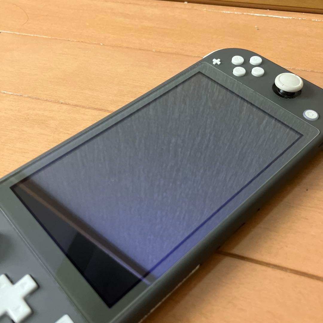 Nintendo Switch Lite グレイ/液晶画面フィルム＆充電器付き