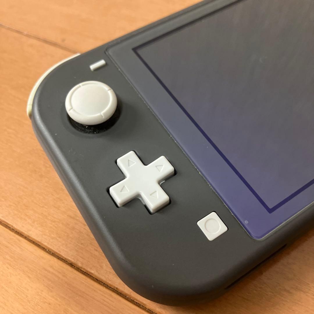 Nintendo Switch Lite グレイ/液晶画面フィルム＆充電器付き