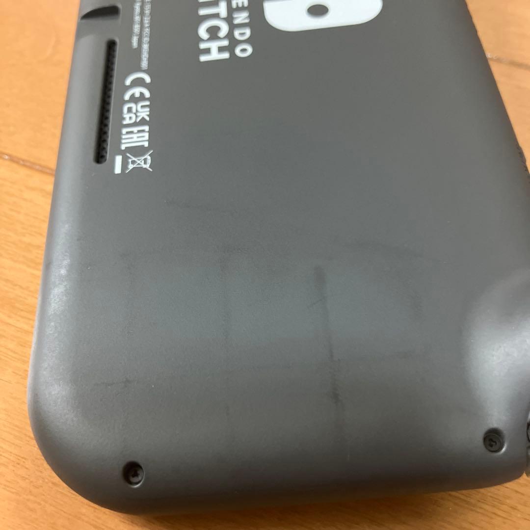 Nintendo Switch Lite グレイ/液晶画面フィルム＆充電器付き