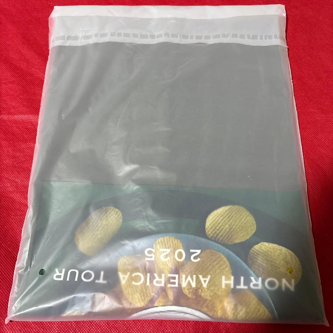 新品 藤井風 ポテチTシャツ L 2025年ツアー限定色(seaweed) レア