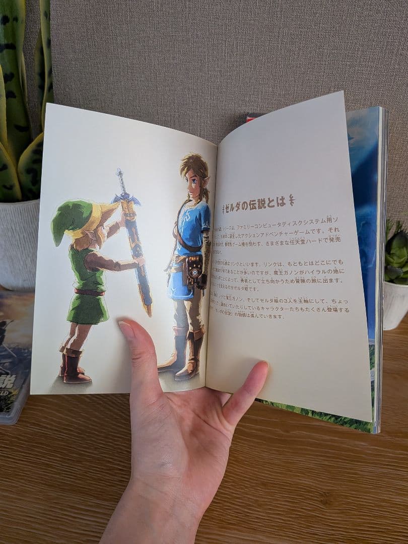 Switch ゼルダの伝説 ブレスオブザワイルド 冒険ガイドブック付き ソフト