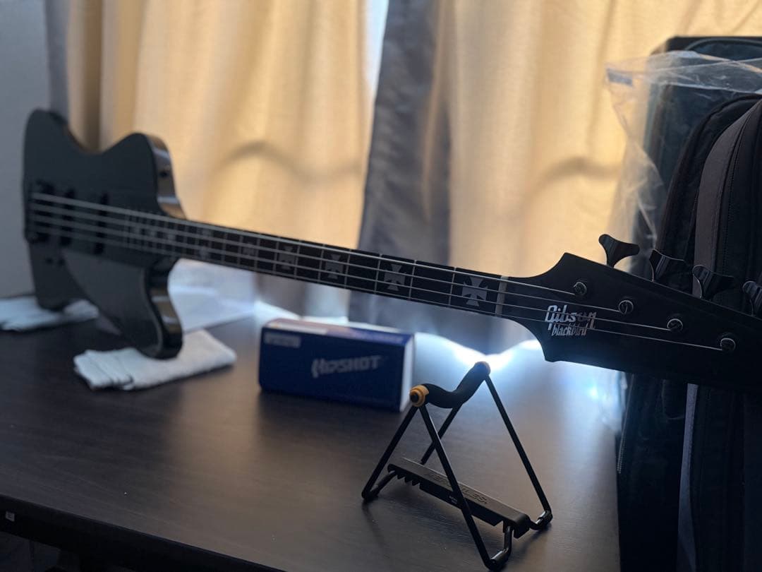 【希少モデル】Gibson Blackbird【弦交換setup済】