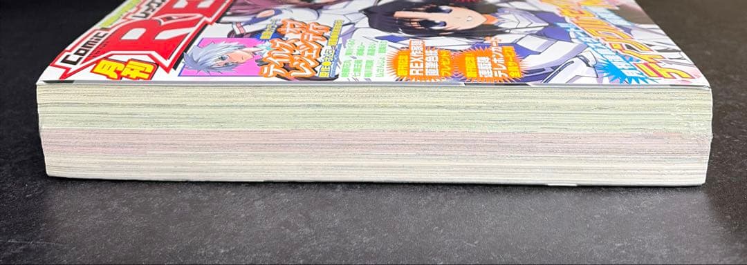 ●月刊ComicREX 2006年 1月号 創刊号 ●新連載 かんなぎ 武梨えり