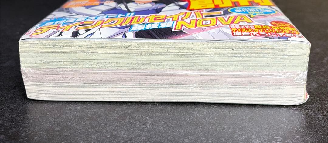 ●月刊ComicREX 2006年 1月号 創刊号 ●新連載 かんなぎ 武梨えり