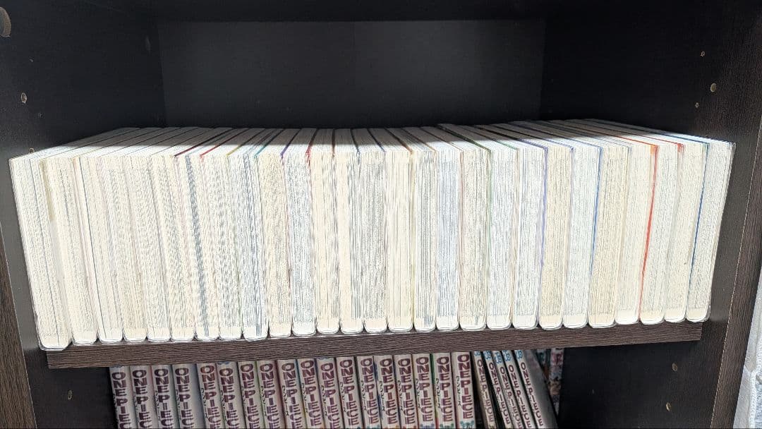 ​【極美品/全巻ビニールカバー付】ONE PIECE 1-95巻セット おまけ有