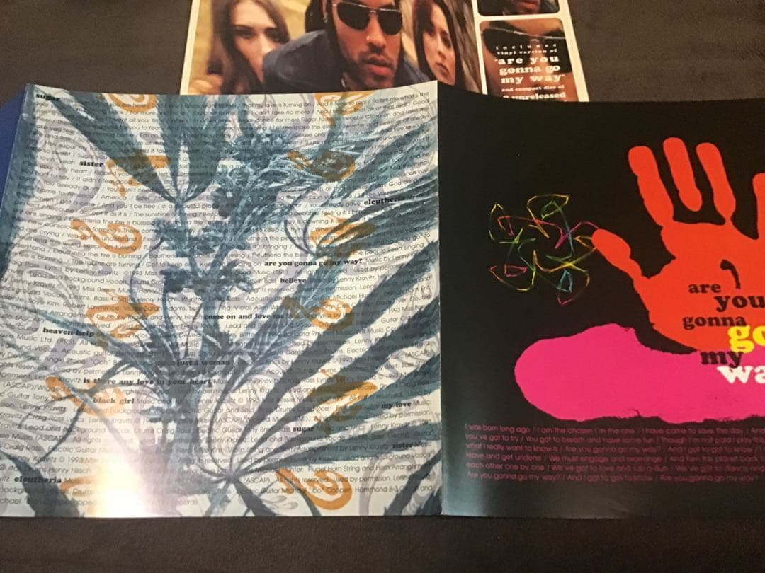クリアLP＋CD LennyKravitz　AreYouGonnaGoMyWay