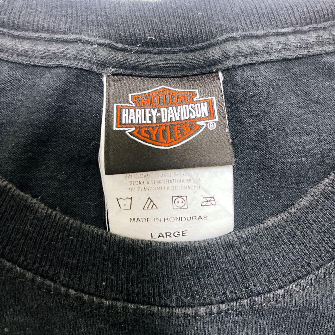 HARLEY 両面プリント スカル フレイム ファイアーパターン　Tシャツ