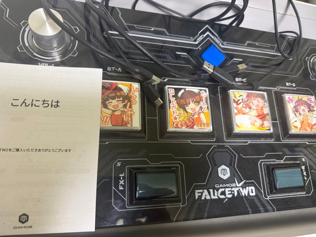 FAUCETWO EGskin1st 三和ボタン 交換用マイクロスイッチ付き
