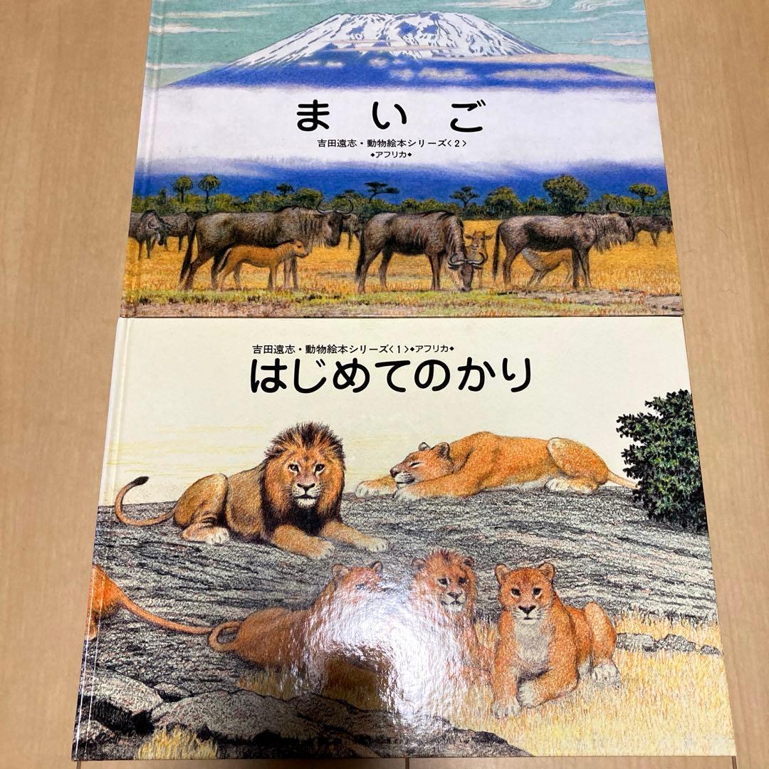 絵本まとめ売り　吉田遠志作　動物絵本シリーズ　アフリカ　希少絵本　初版あり　美品