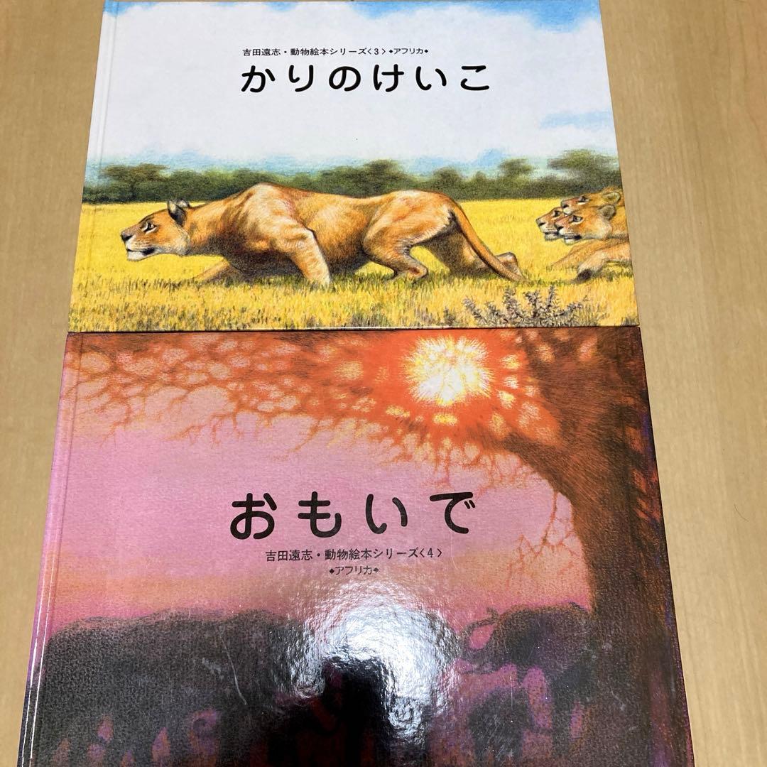 絵本まとめ売り　吉田遠志作　動物絵本シリーズ　アフリカ　希少絵本　初版あり　美品