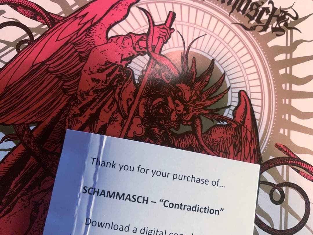 洋楽 SCHAMMASCH - Contradiction