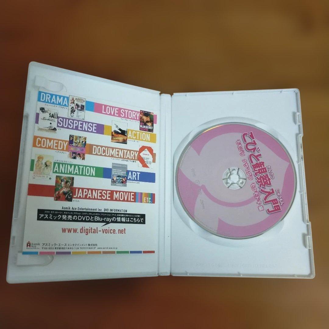 こびとづかん観察入門 DVD まとめ売り
