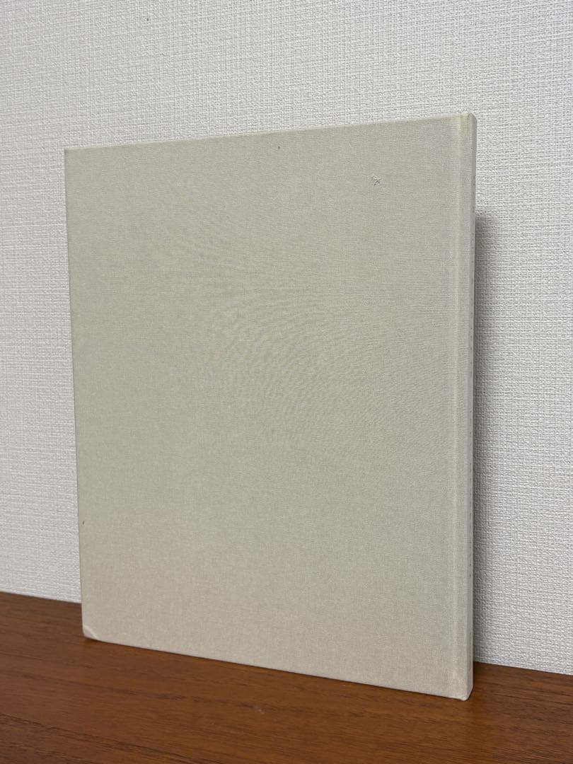 Morandi's Objects Joel Meyerowitz モランディ