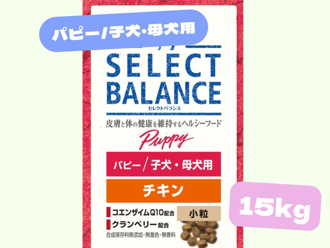 モモさん