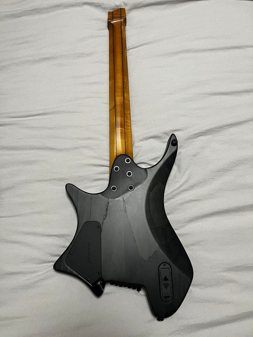 最終価格Strandberg Borden Original 7弦