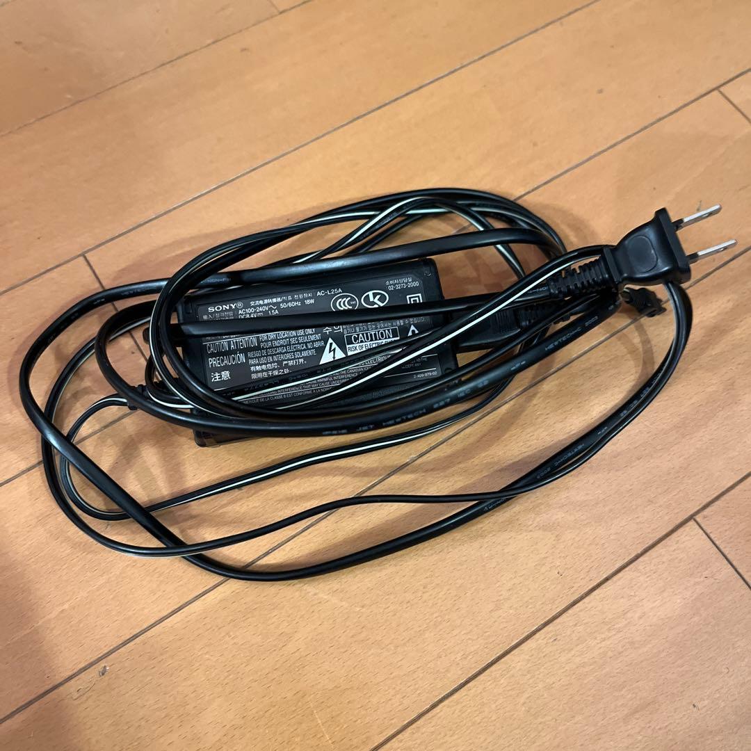 SONYビデオカメラフルセット(本体、バッテリー、SD32GB、充電器、ケース)
