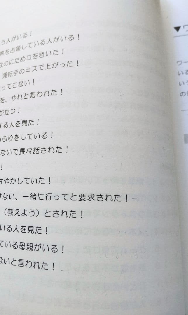 フラクタル心理学マスターコース 初級講座テキスト