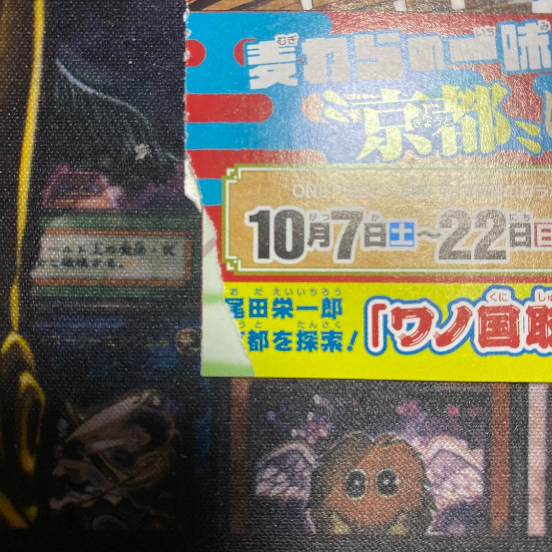 ワンピース　794巻　京都麦わら道中記　痛みあり