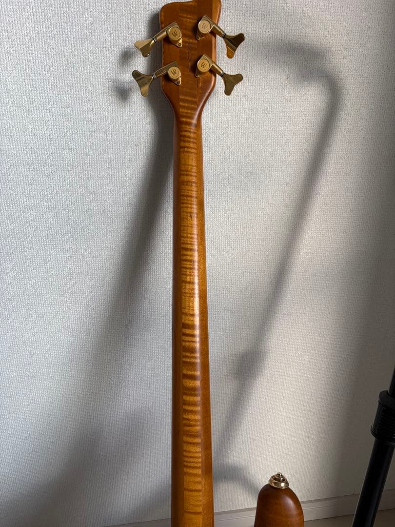 warwick streamer stage Ⅰ 1994