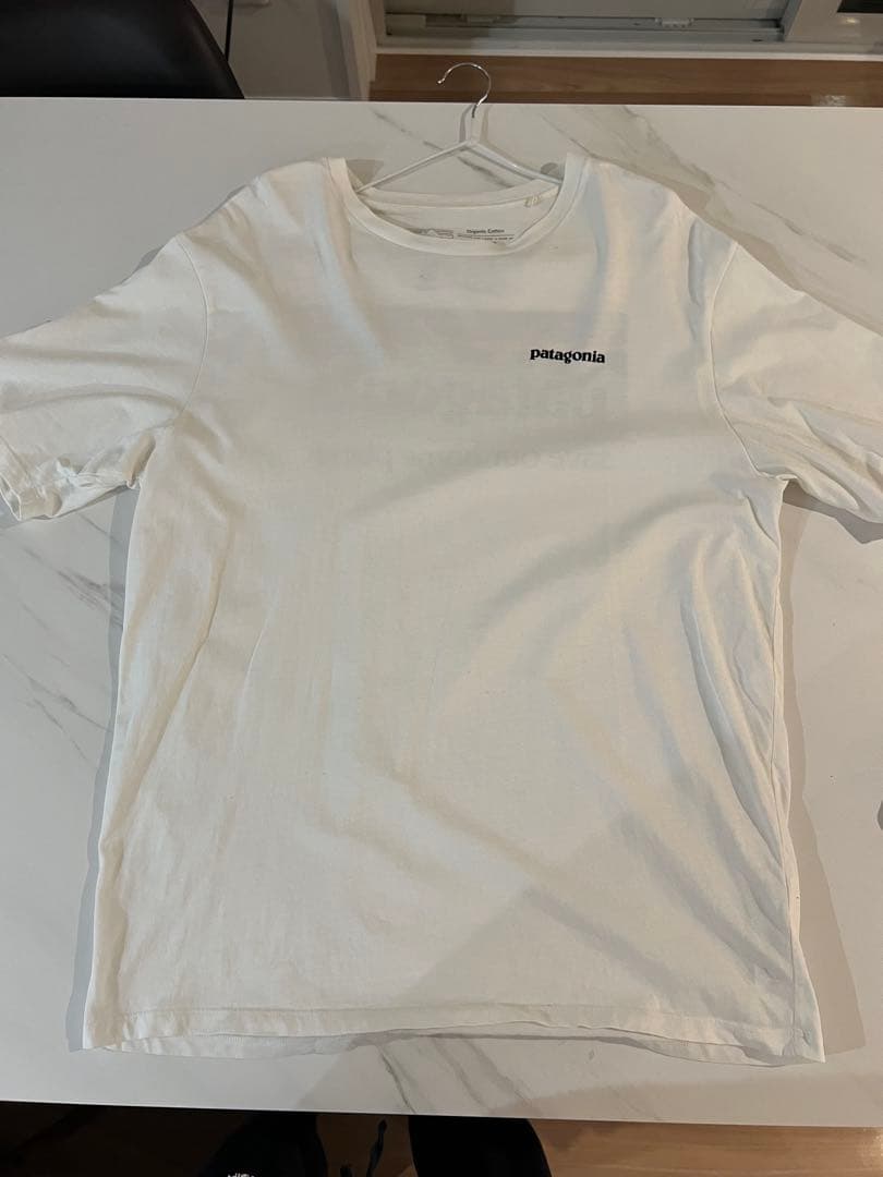 Tシャツ　まとめ売り　ノースフェイス／エレッセ／ラコステ/パタゴニア/POLO