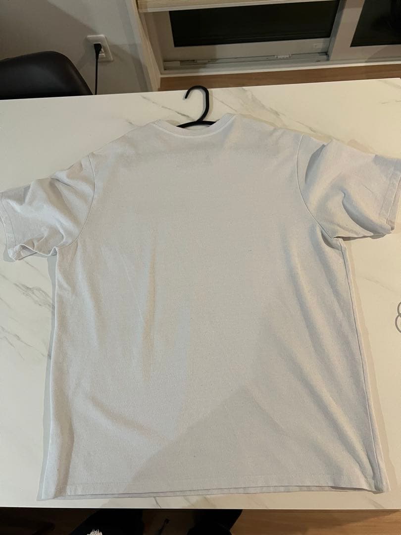 Tシャツ　まとめ売り　ノースフェイス／エレッセ／ラコステ/パタゴニア/POLO