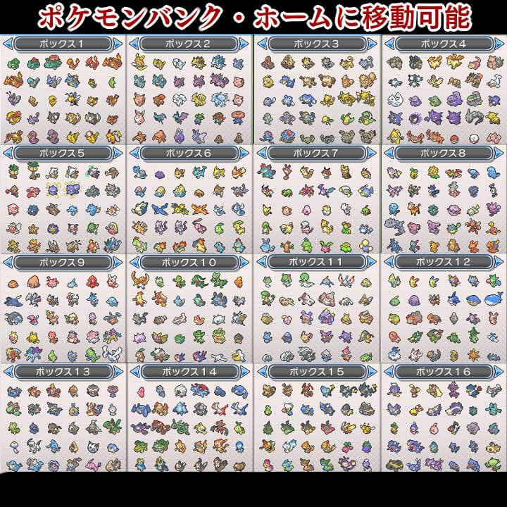ポケットモンスター　ウルトラムーン　【ウルトラサンムーン】ポケモン　3DS　11