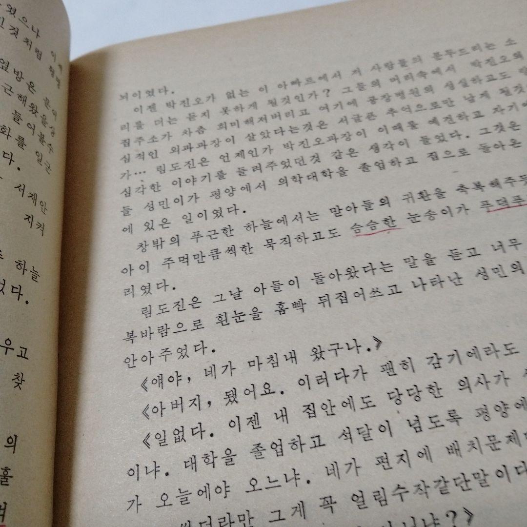 生の流れ リ・シンヒョン　長篇小説 1991 ハングル　朝鮮文学　韓流