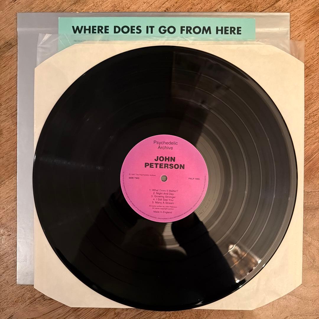 JOHN PETERSON WHERE DOES IT GO 激レアLPレコード