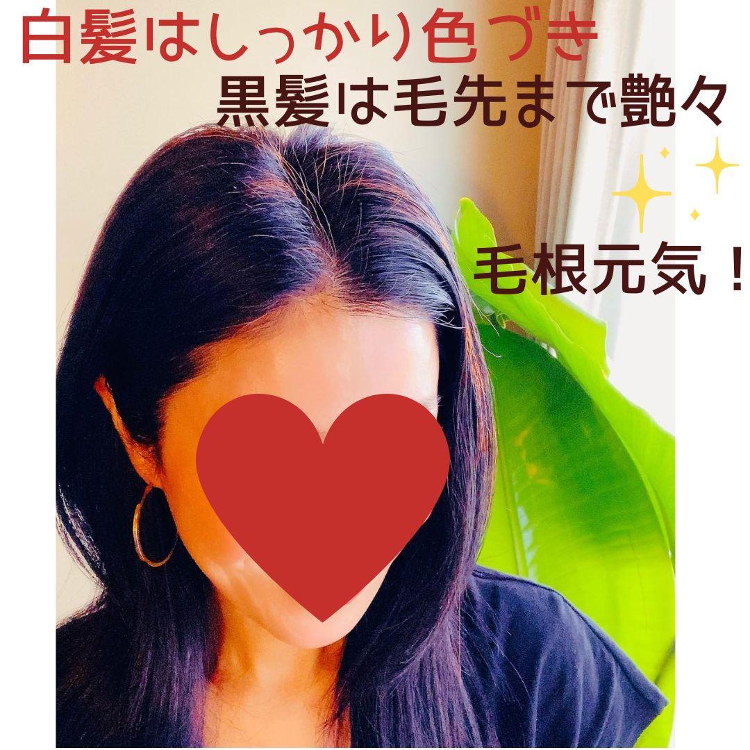 きらり品【最高AAAランク高品質ヘナ】ペイズリーオレンジ＆ブラウンセット