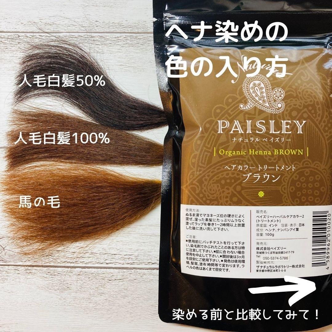きらり品【最高AAAランク高品質ヘナ】ペイズリーオレンジ＆ブラウンセット