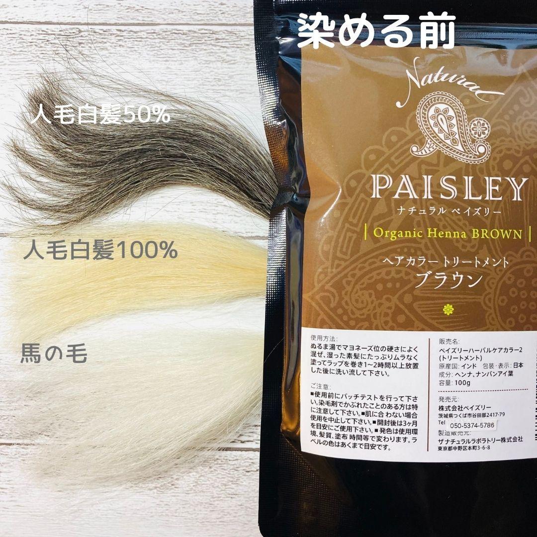 きらり品【最高AAAランク高品質ヘナ】ペイズリーオレンジ＆ブラウンセット