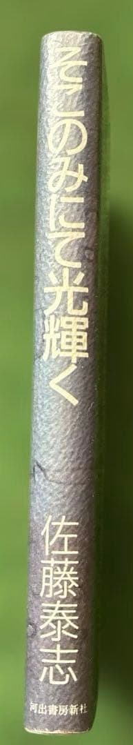 そこのみにて光輝く　佐藤泰志　初版本　単行本　河出書房新社