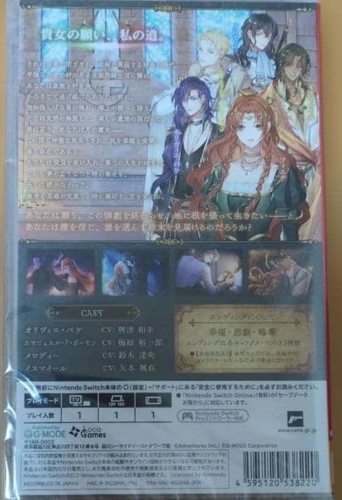 Switch 魔女と亡霊のヴォロンテ 通常版