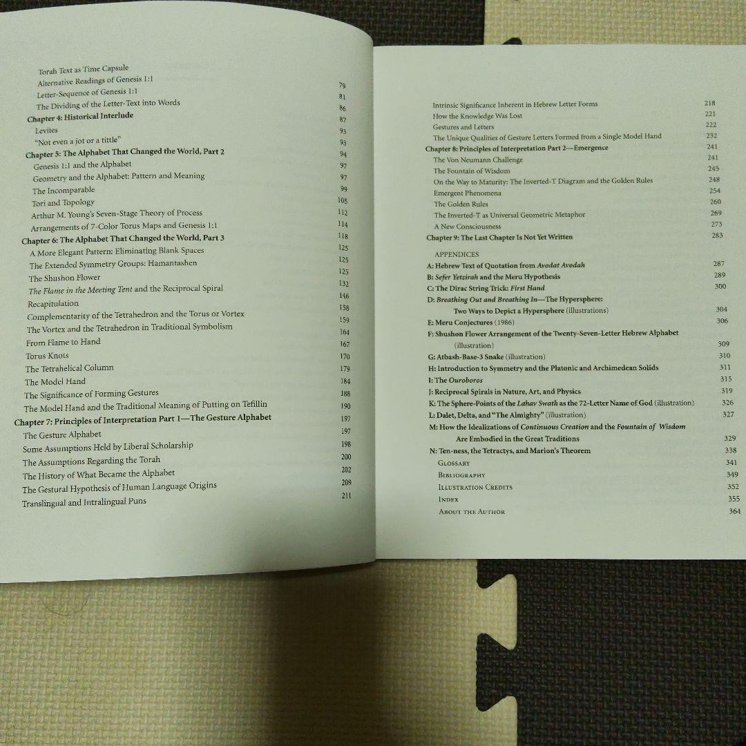 洋書 The Alphabet That Changed the World