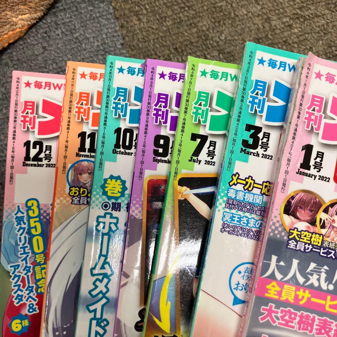 メガストア雑誌30冊セット　コアマガジン