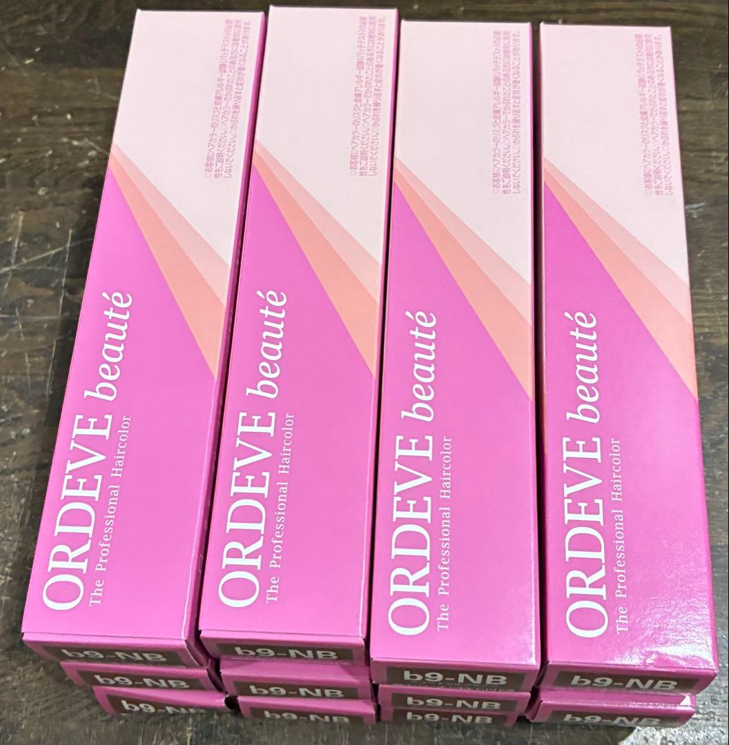 ORDEVE beauté b9-NB ニュートラルブラウン 12本セット