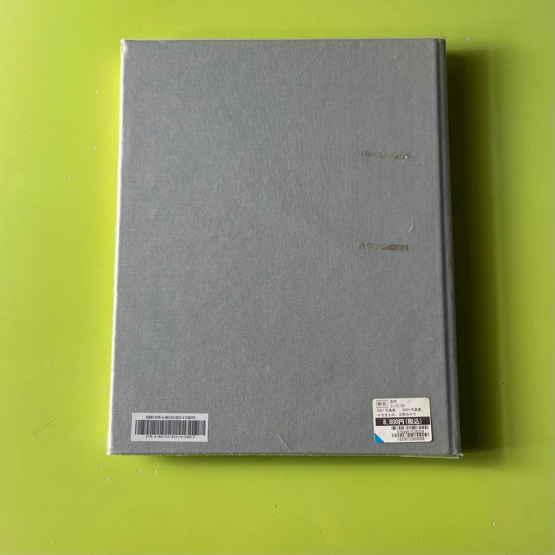山本昌男/Masao Yamamoto: 小さきもの、沈黙の中で　カバー付き美品