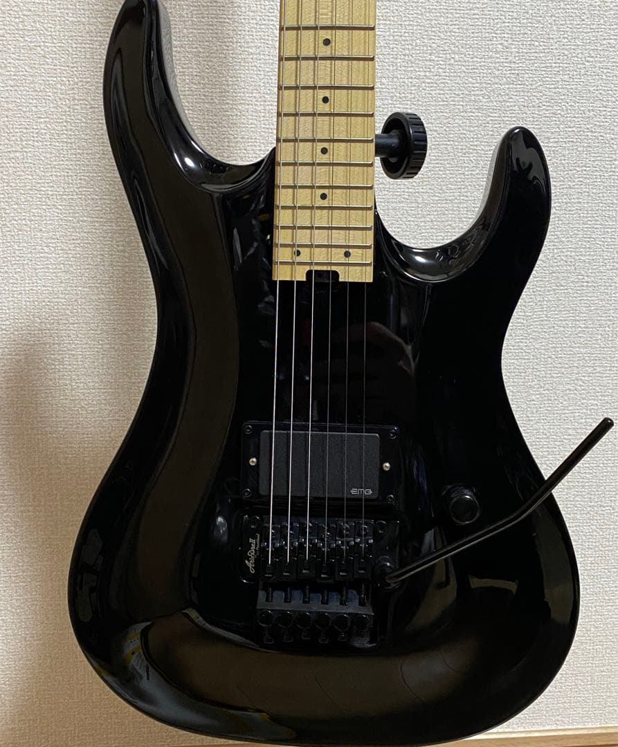 アリアプロ Aria Pro ii MAC-MAX EMG 81