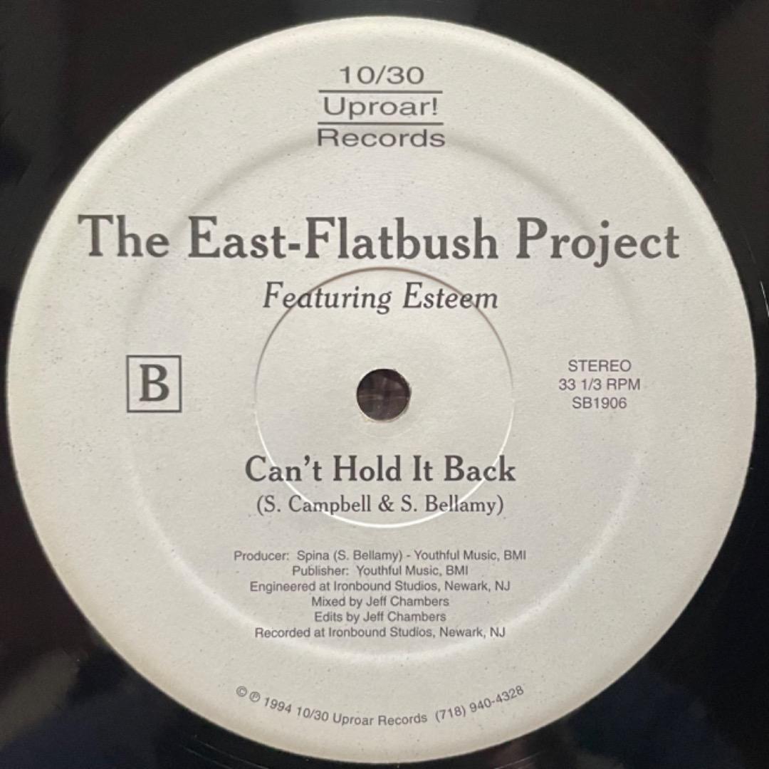 East-Flatbush Project– A Madman's Dream
