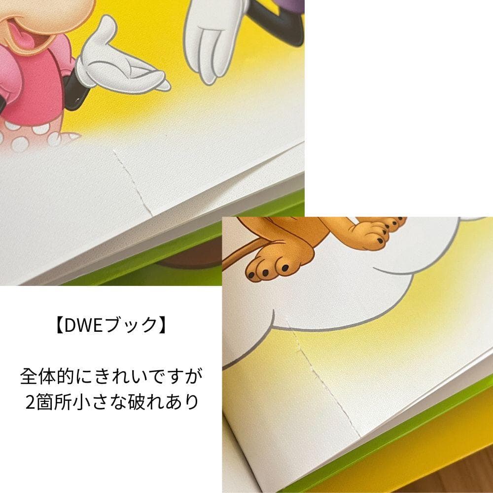 DWE ミッキーパッケージフルセット【追加写真】2022年購入