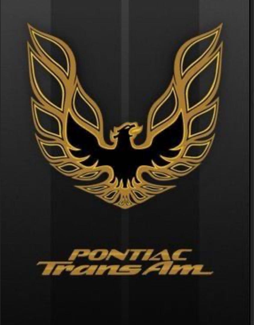 【ビンテージ】トラッカーキャップ 70's TRANS AM 山田蓮　アメカジ