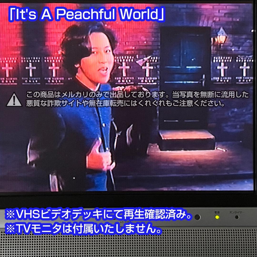 岡村靖幸 VHS ビデオ 2本